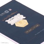 سکه پارسیان طلای ۱۸ عیار رادا 100 سوت