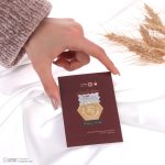 سکه پارسیان طلای ۱۸ عیار رادا 700 سوت